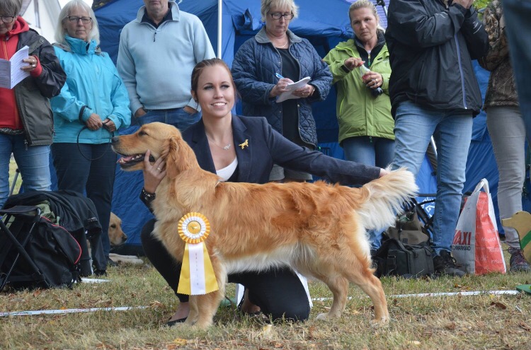 Livsglädjens Magiska Greta