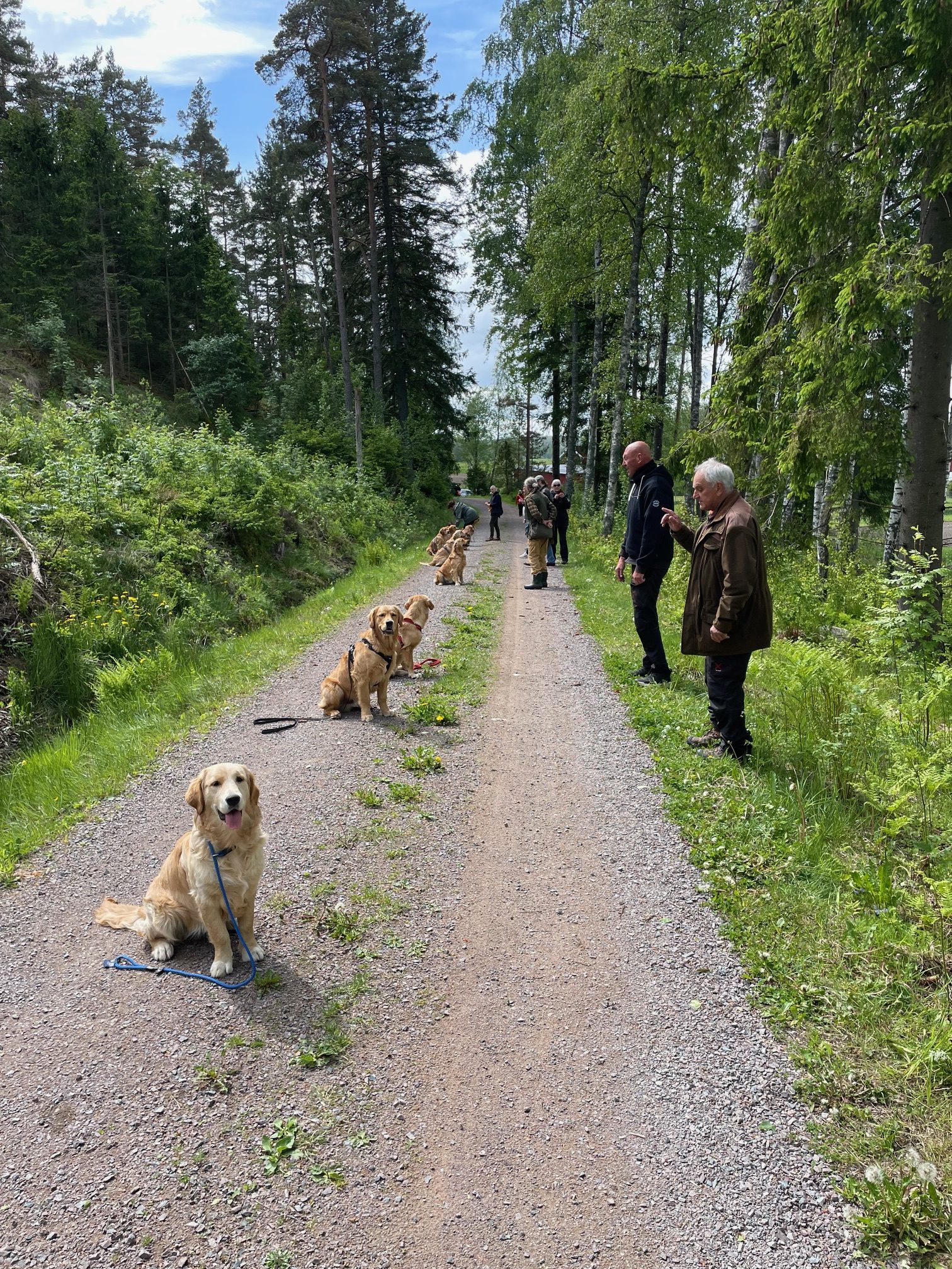 250524 Vi visa hur vi tränar lydnad
